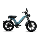 OneMile M60-M2 E-Bike