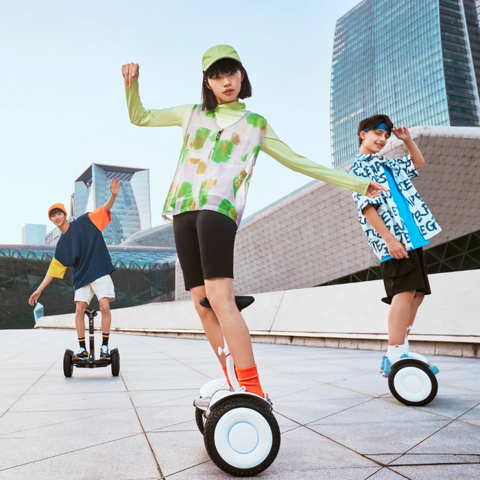 Segway Ninebot Electric S2 Self Balancing Scooter