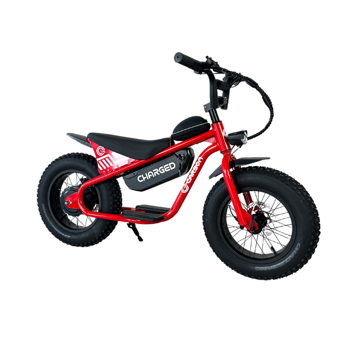 Carbon Charged Kids Electric Bike