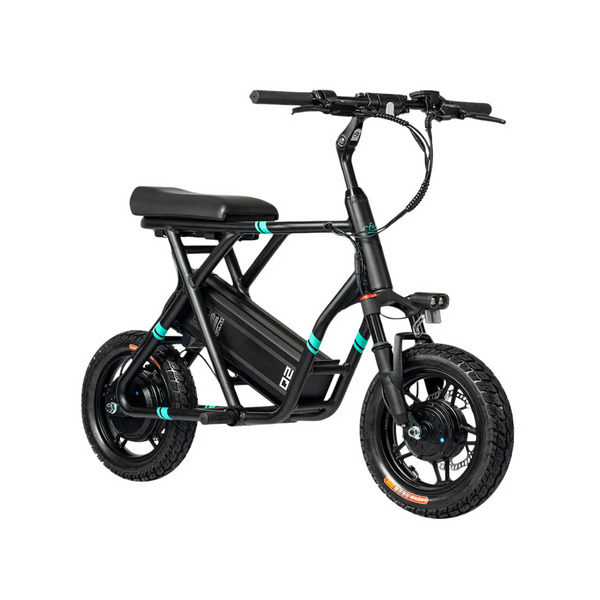 Folding Electric Bikes