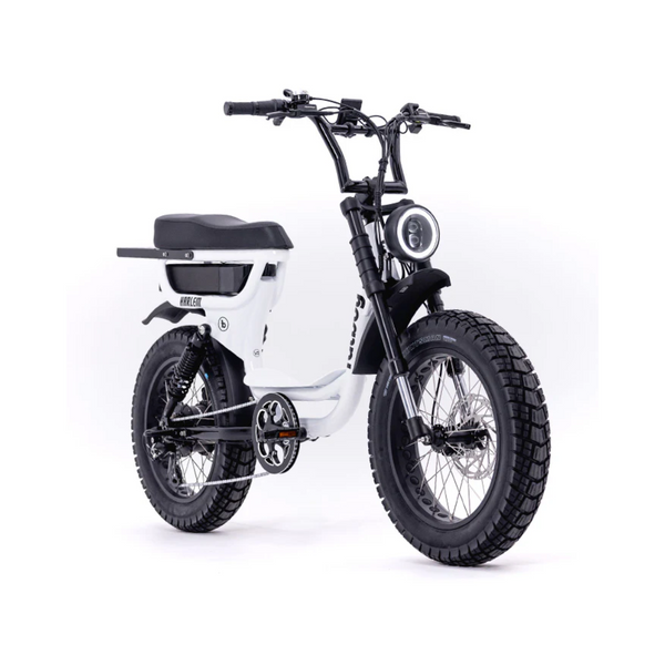 Fatboy Harlem V2 Electric Bike