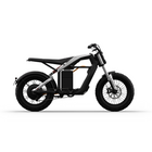 Segway Xyber Off Road Electric Bike