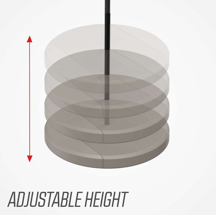 BERG PlayBase Disc Swing