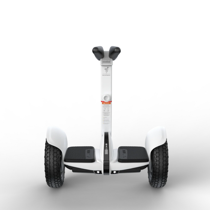 Segway Ninebot Electric S2 Self Balancing Scooter