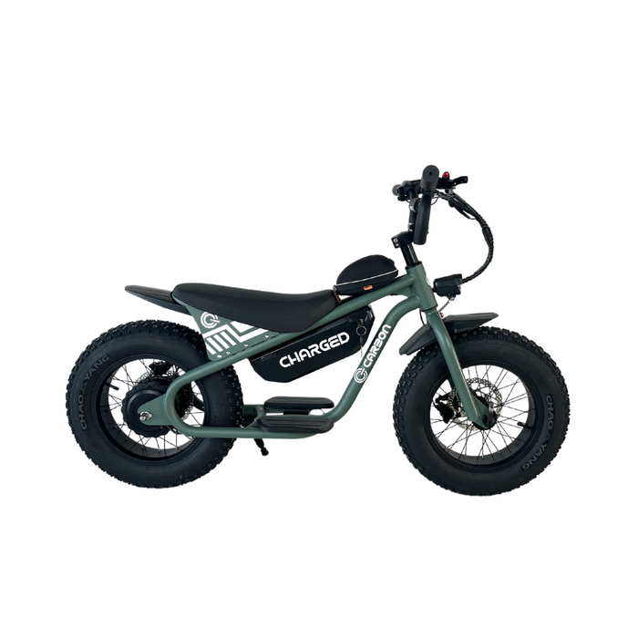 Carbon Charged Kids Electric Bike