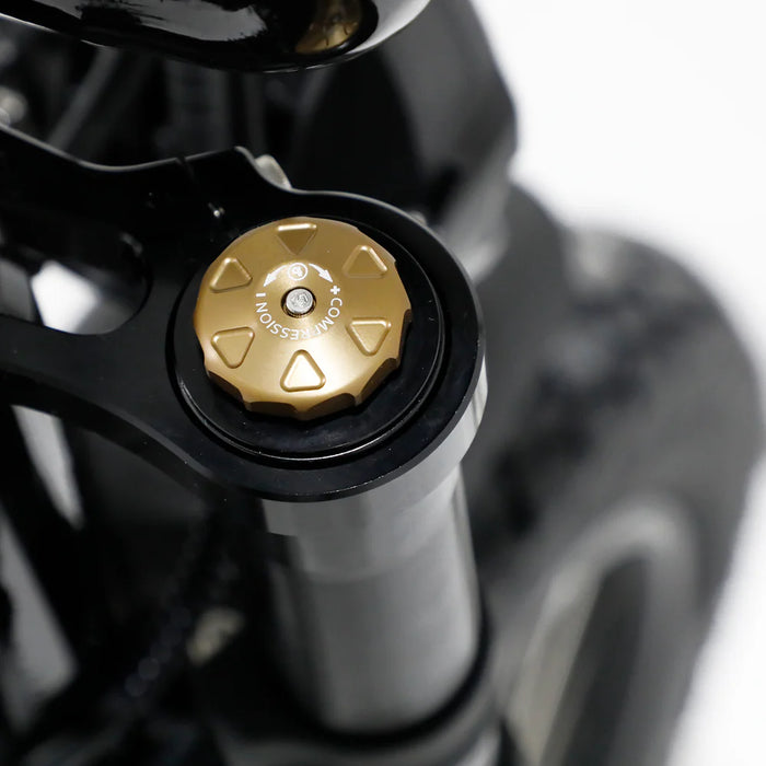 Fatboy Harlem V3 Electric Bike