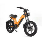 OneMile M60-M2 E-Bike [DISPLAY]