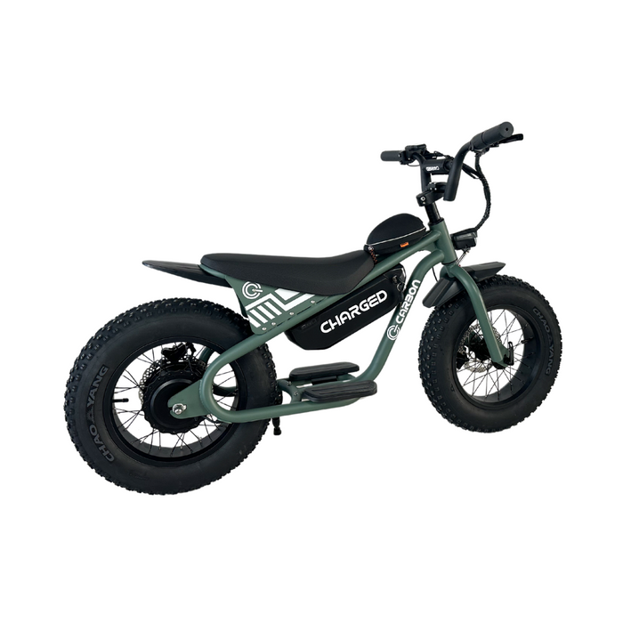 Carbon Charged Kids Electric Bike