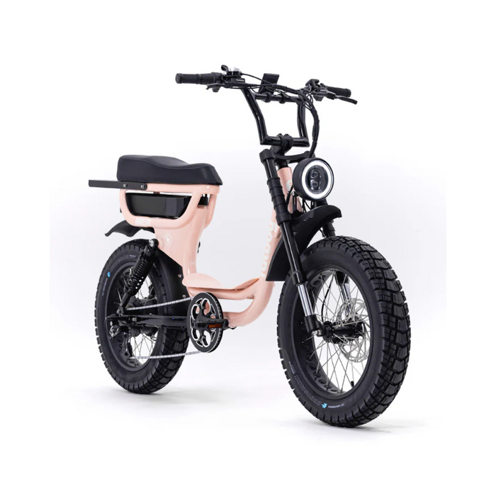 Fatboy Harlem V2 Electric Bike