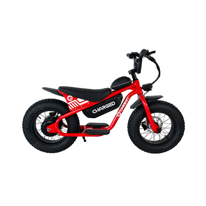 Carbon Charged Kids Electric Bike