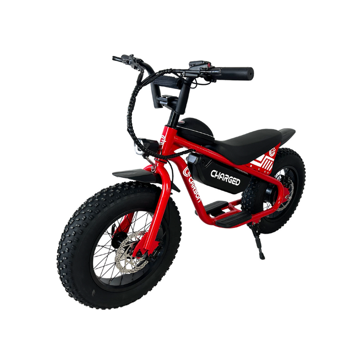 Carbon Charged Kids Electric Bike