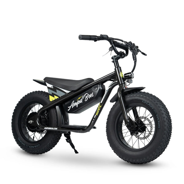 Affordable Electric Bikes