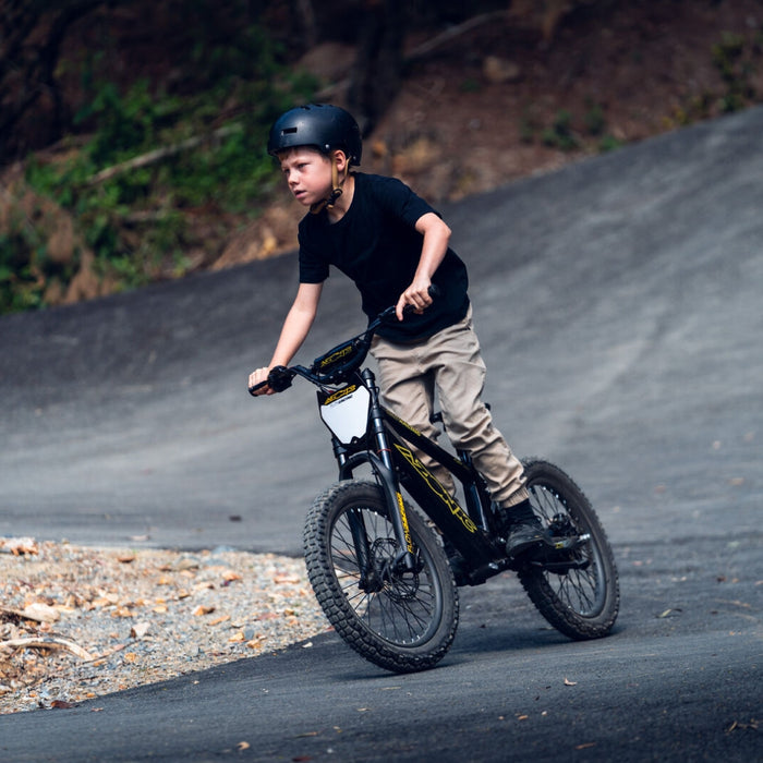 Azonic Flow 20 Electric Balance Bike