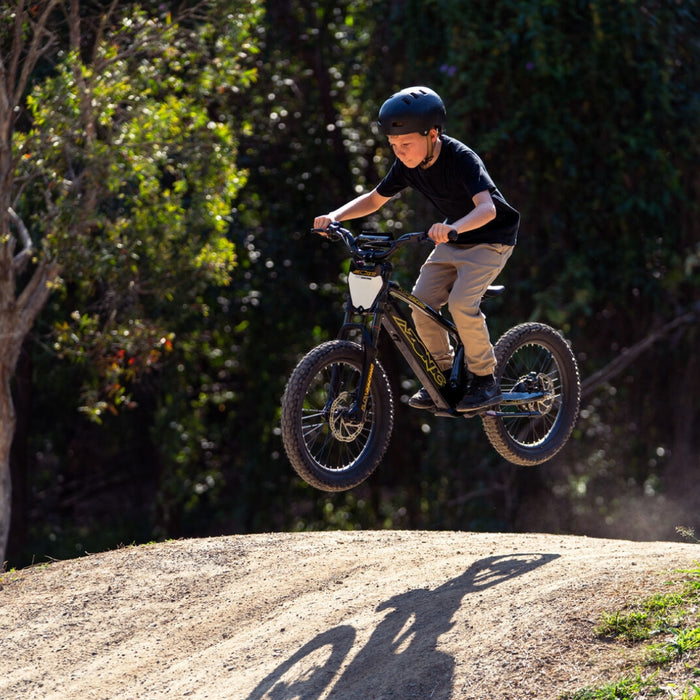 Azonic Flow 20 Electric Balance Bike