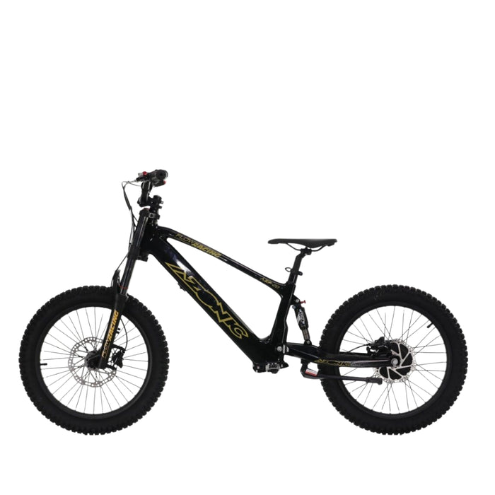 Azonic Flow 20 Electric Balance Bike