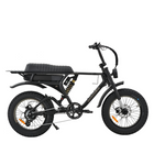 Mamba Kalahari Electric Bike