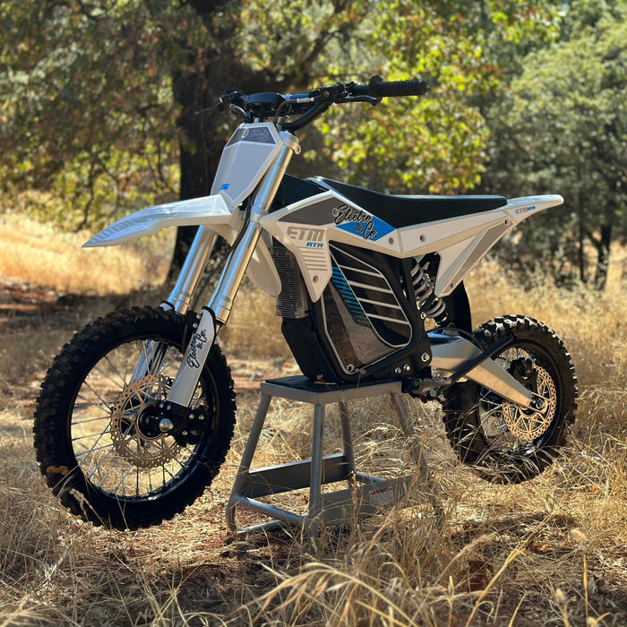 Electro & Co ETM RTR Electric Bike