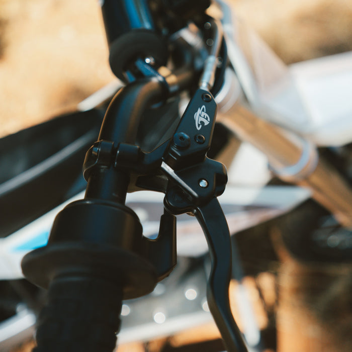 Electro & Co ETM RTR Electric Bike