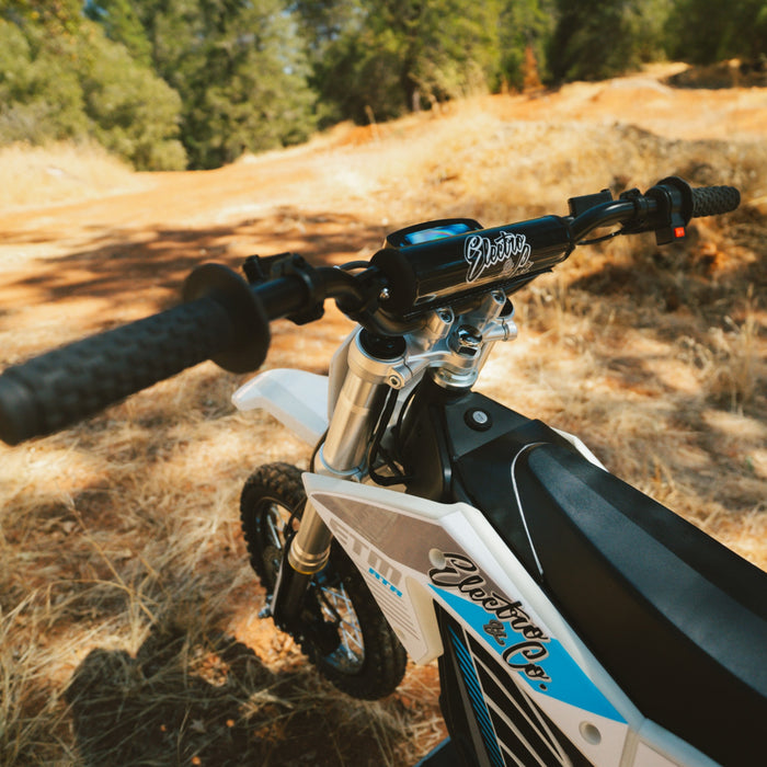 Electro & Co ETM RTR Electric Bike
