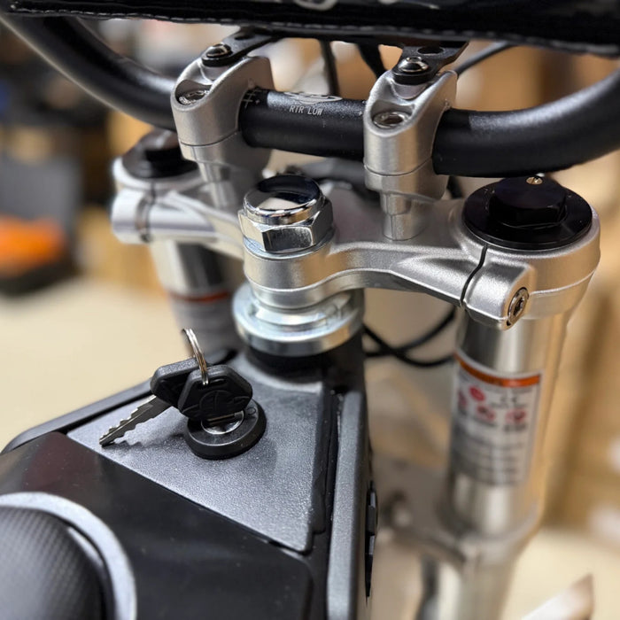 Electro & Co ETM RTR Lite Electric Bike