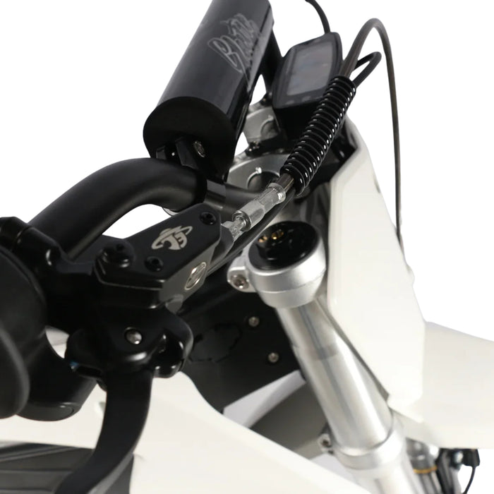 Electro & Co ETM RTR Sport Electric Bike