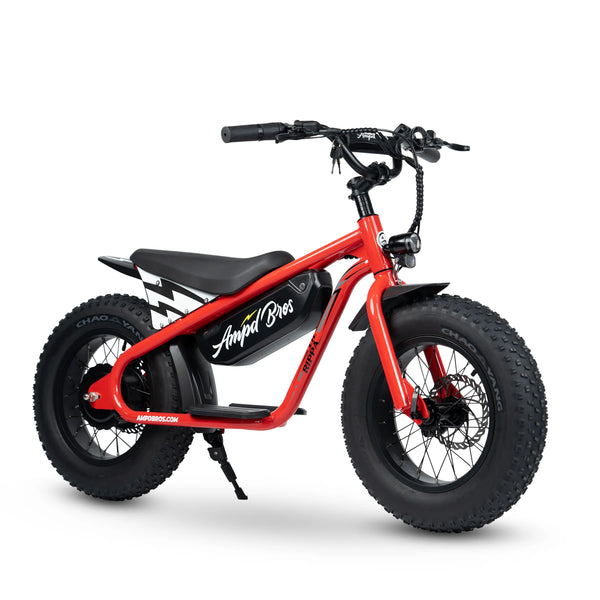 Affordable Electric Bikes