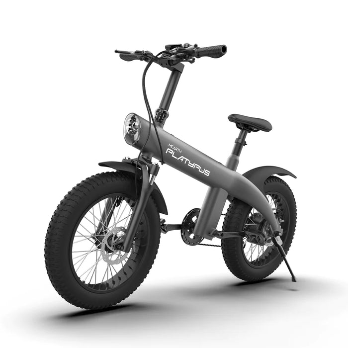 Mearth Platypus [2024] Electric Bike