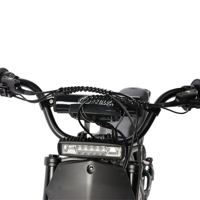 Electro & Co The Rizzler Electric Bike