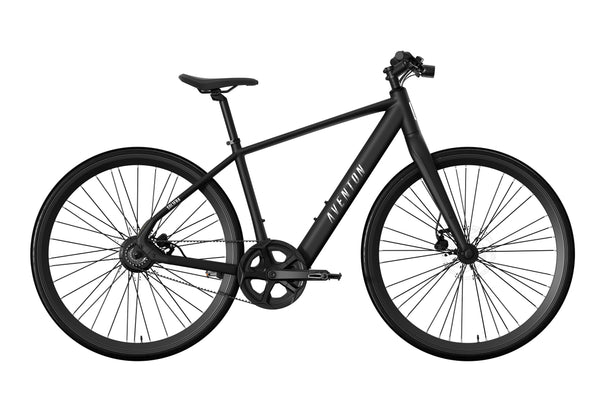 Affordable Electric Bikes