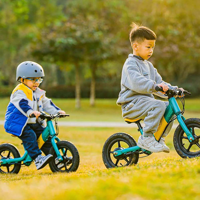 fiido kidz electric balance bike feature riding modes