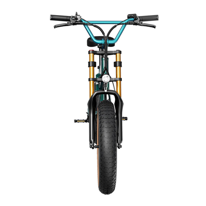 fiido m1 pro electric bike front