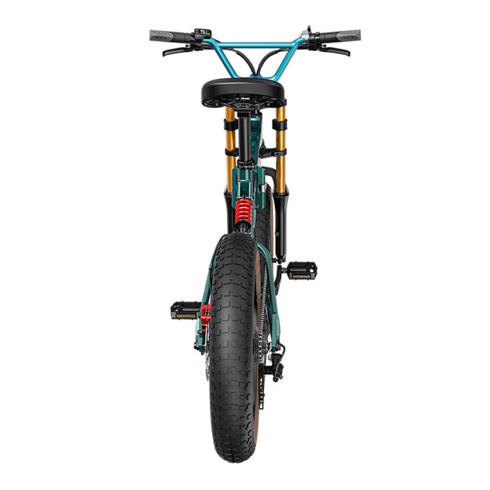 fiido m1 pro electric bike rear