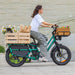 fiido t2 longtail cargo ebike lifestyle woman riding