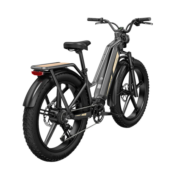 Fiido Titan Electric Cargo Bike