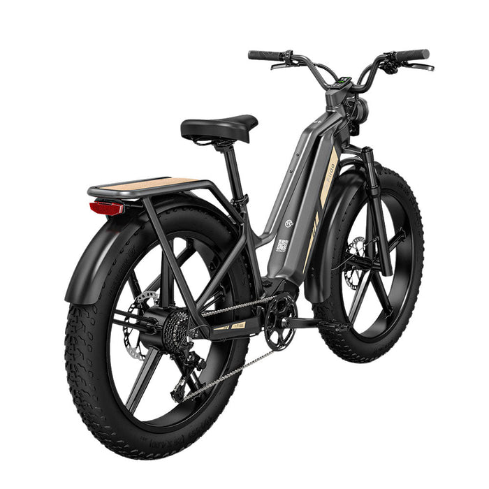fiido titan electric cargo bike side back