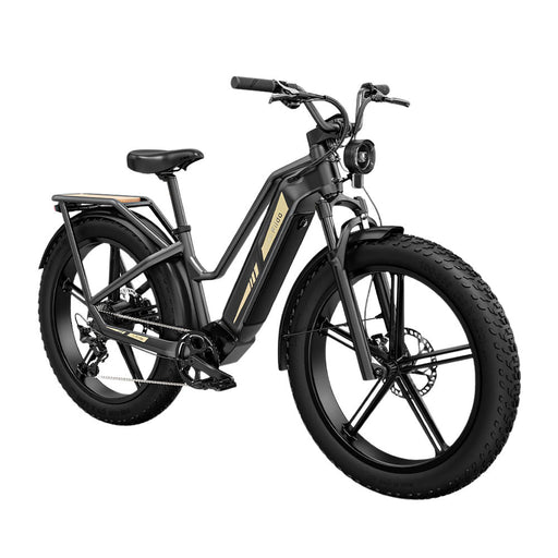 fiido titan electric cargo bike side front