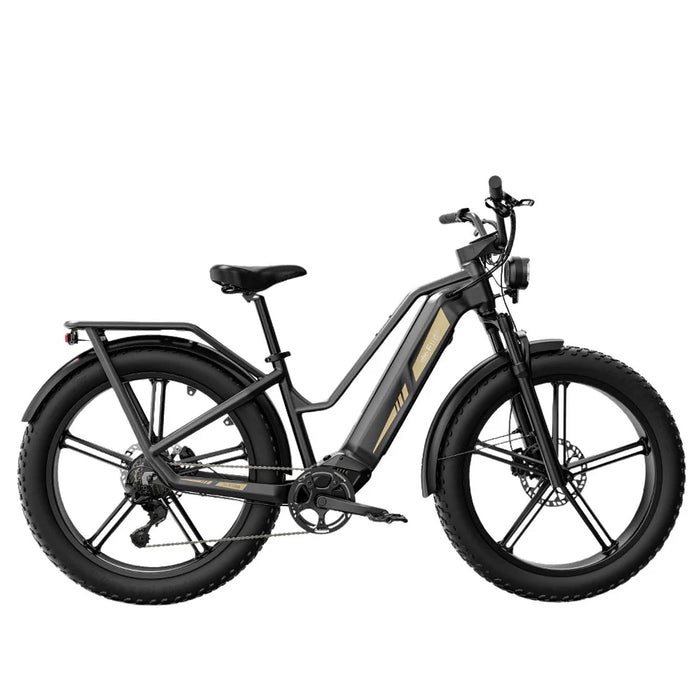 Fiido Titan Electric Cargo Bike