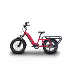 Benzina Zero Hauler Electric Bike