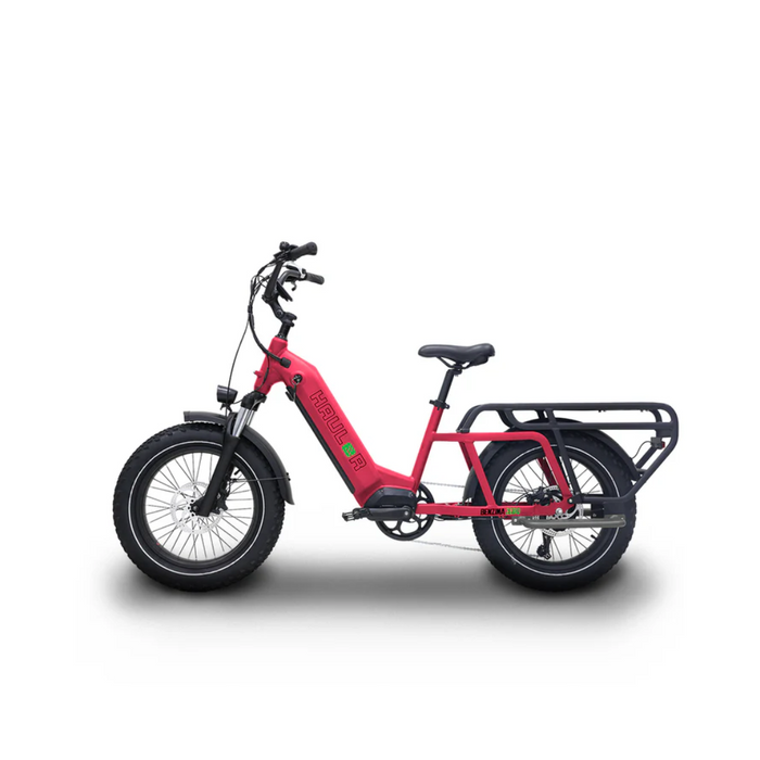 Benzina Zero Hauler Electric Bike