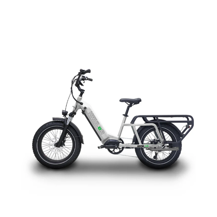 Benzina Zero Hauler Electric Bike