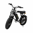Bexly Brixton Electric Bike