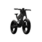 Kugoo Thinker 01 Electric Bike