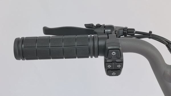 Dualtron Togo
